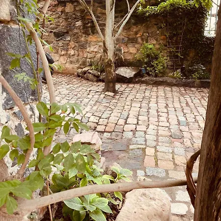 Le Petit Chateau No10